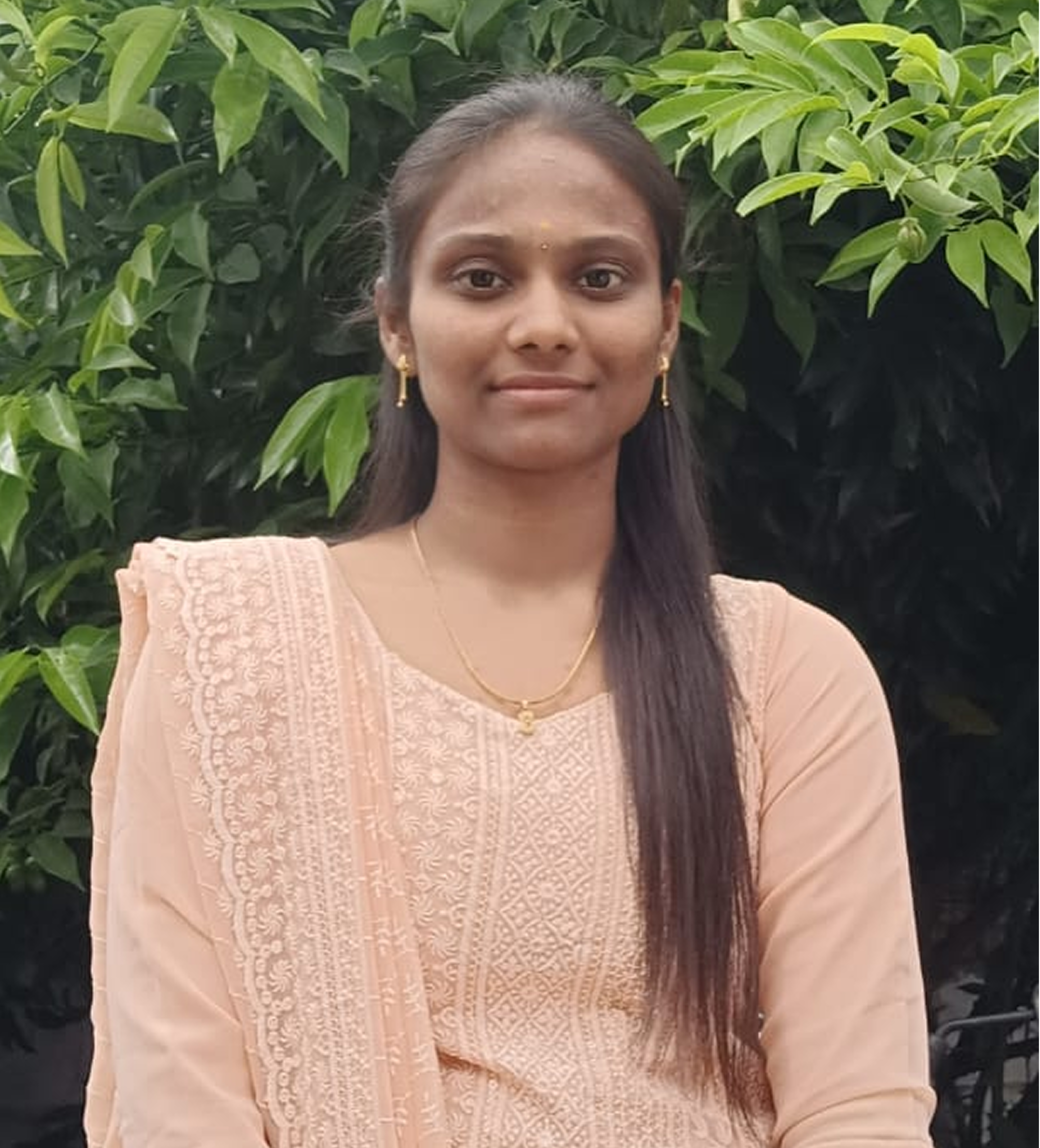 Portrait of Praveen, Developer