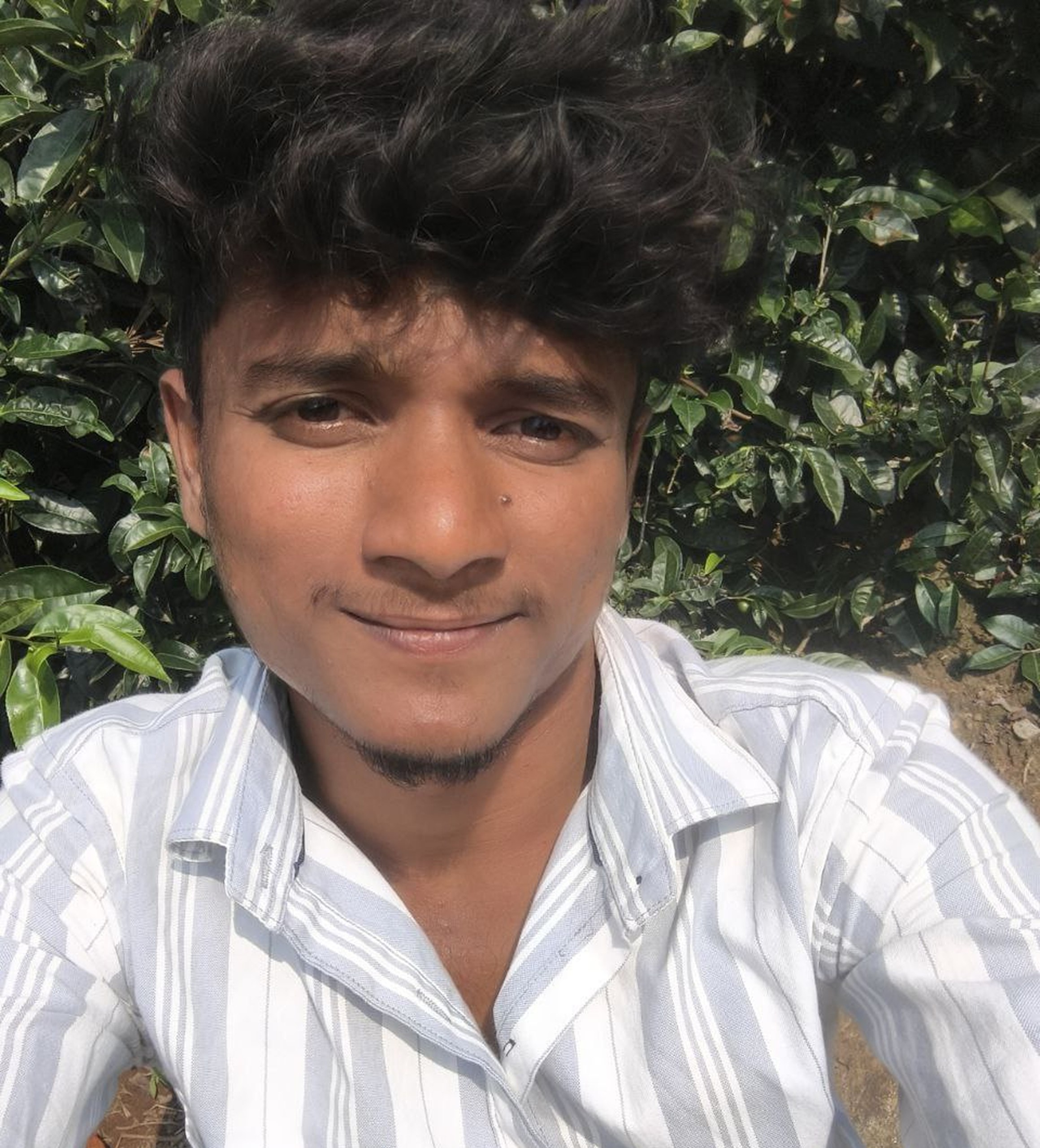 Portrait of Praveen, Developer