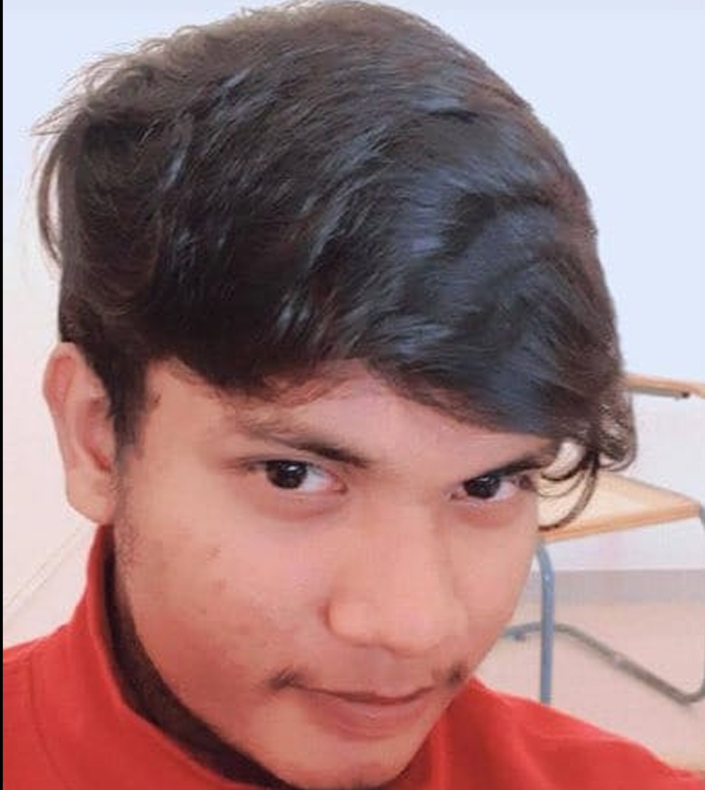 Portrait of Praveen, Developer